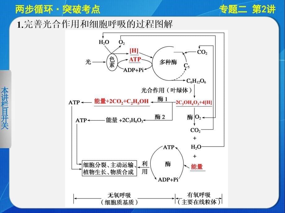 细胞代谢专题-第2讲光合作用与细胞呼吸_第5页