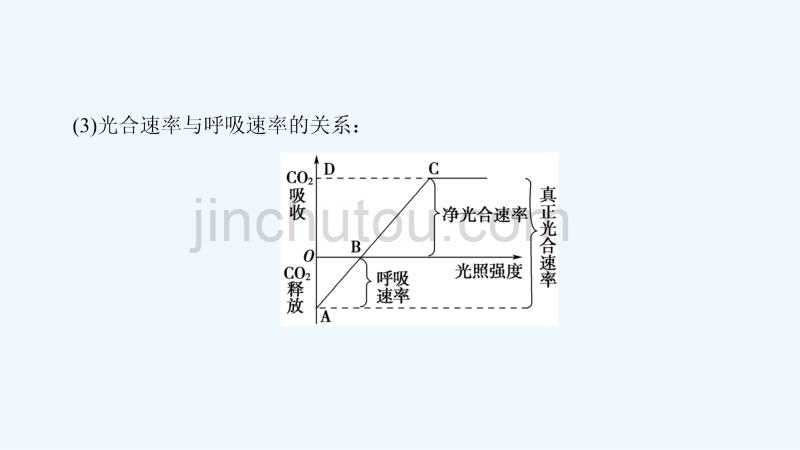 高中课堂新坐标生物人教必修一同步课件：第5章 微专题突破_第5页