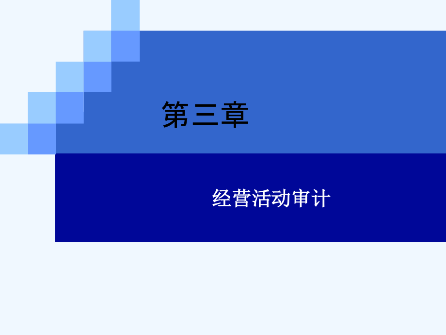 内部审计学第三部分_第2页