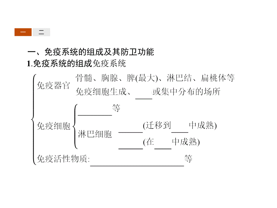 高中生物人教必修三同步配套课件：第2章 动物和人体生命活动的调节2.4_第3页