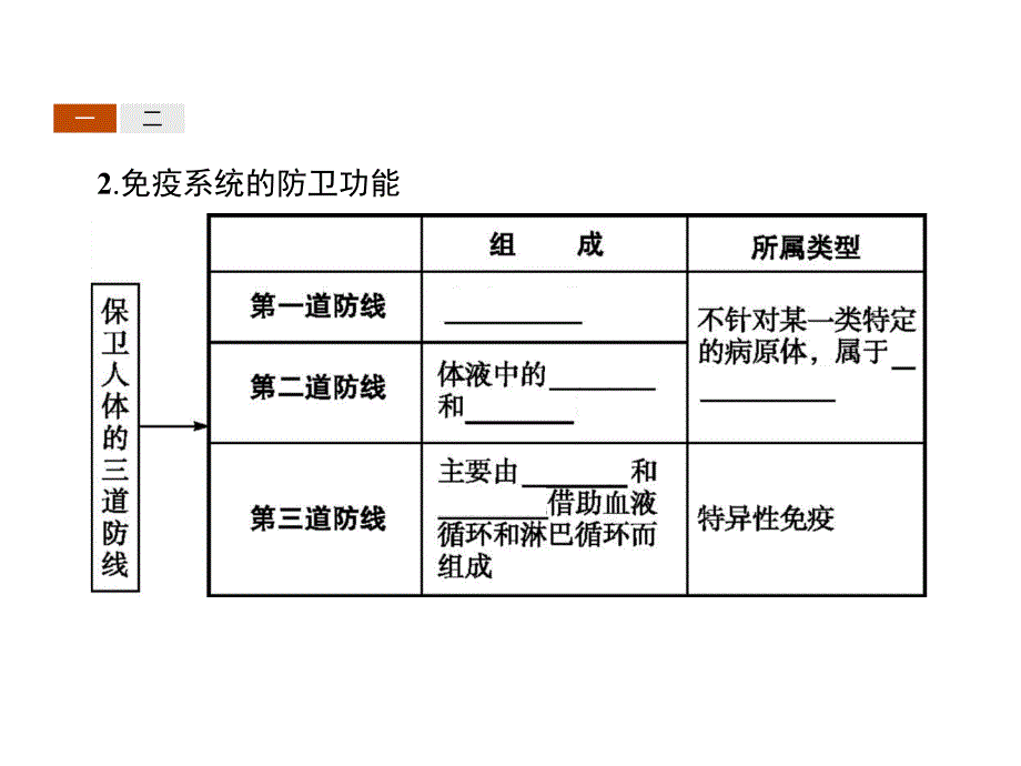 高中生物人教必修三同步配套课件：第2章 动物和人体生命活动的调节2.4_第4页