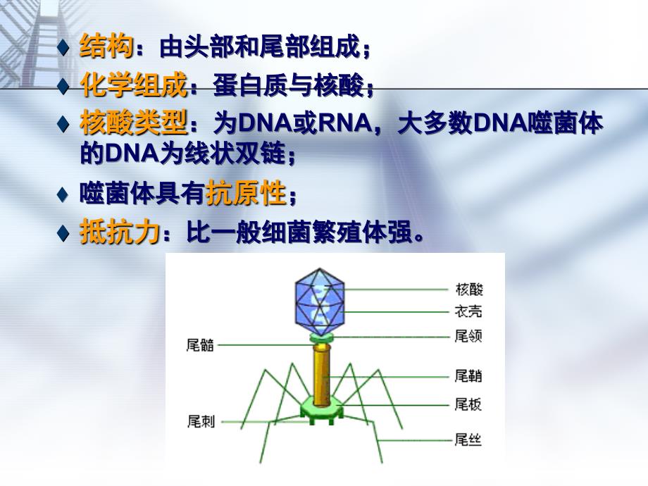 医学微生物-噬菌体遗传变异_第2页