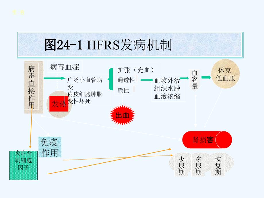 第二十四部分肾综合征出血热66_第4页