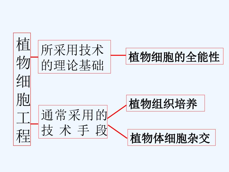 高考生物第二轮专题复习教案：植物细胞工程和动物细胞工程_第5页