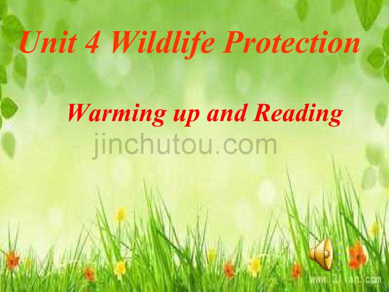 高中英语人教必修二：Unit 4 Wildlife protection 课件5_第1页