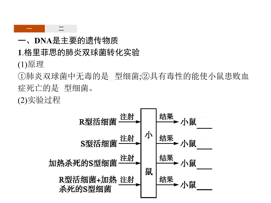 高中生物苏教必修二课件：4.1 探索遗传物质的过程_第3页