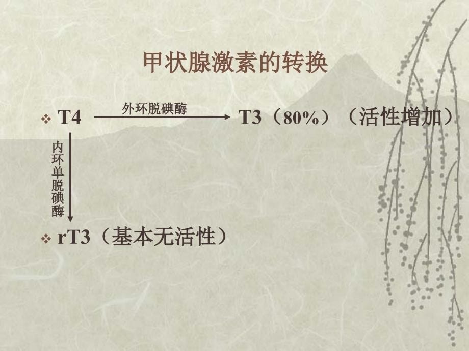 亚急性甲状腺炎Subacutethyroiditis诊断_第5页