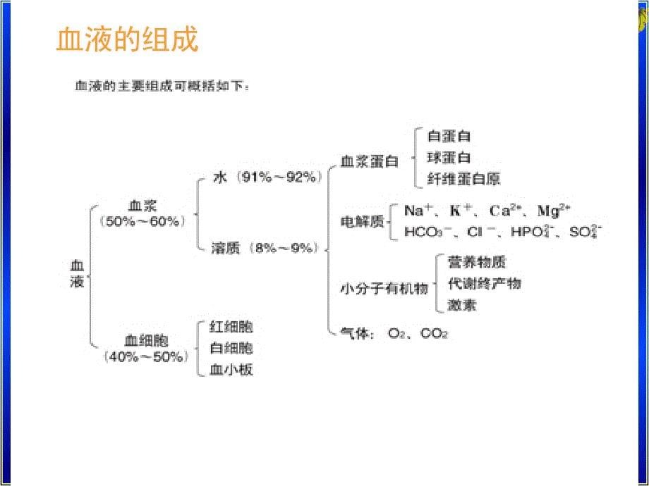 生理学课件-血液_第5页