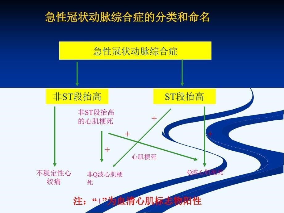 不稳定型心绞痛以及非ST段抬高心肌梗死治疗指南解读_第5页