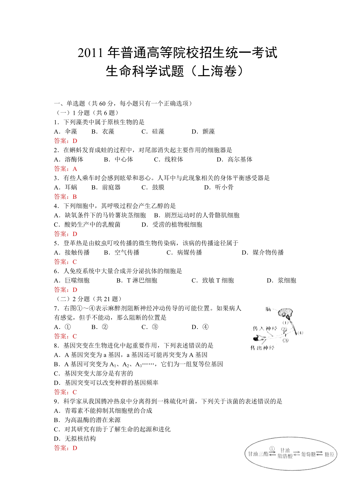 2011生命科学试题（上海卷）.doc_第1页