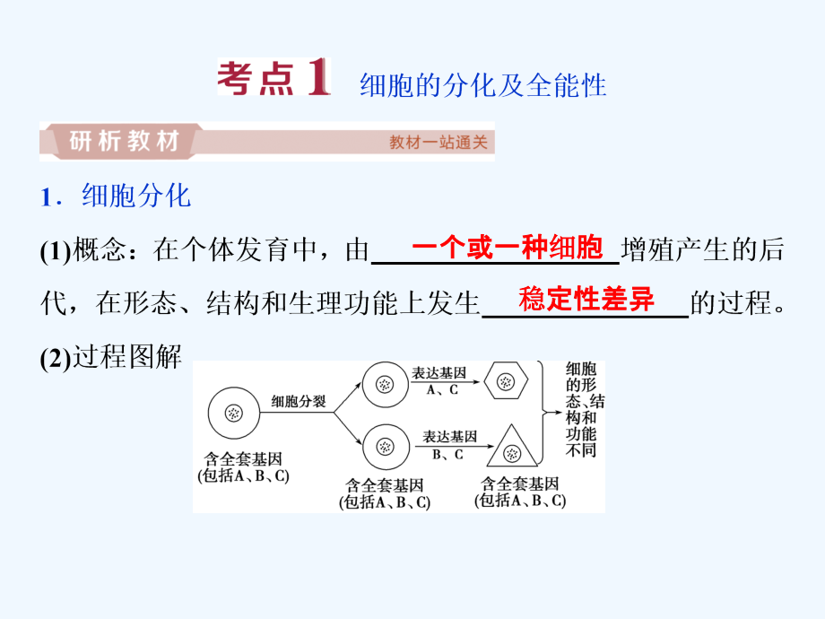 高中生物一轮复习方案课件：第4单元 4 第14讲细胞的分化、衰老、凋亡及癌变_第3页