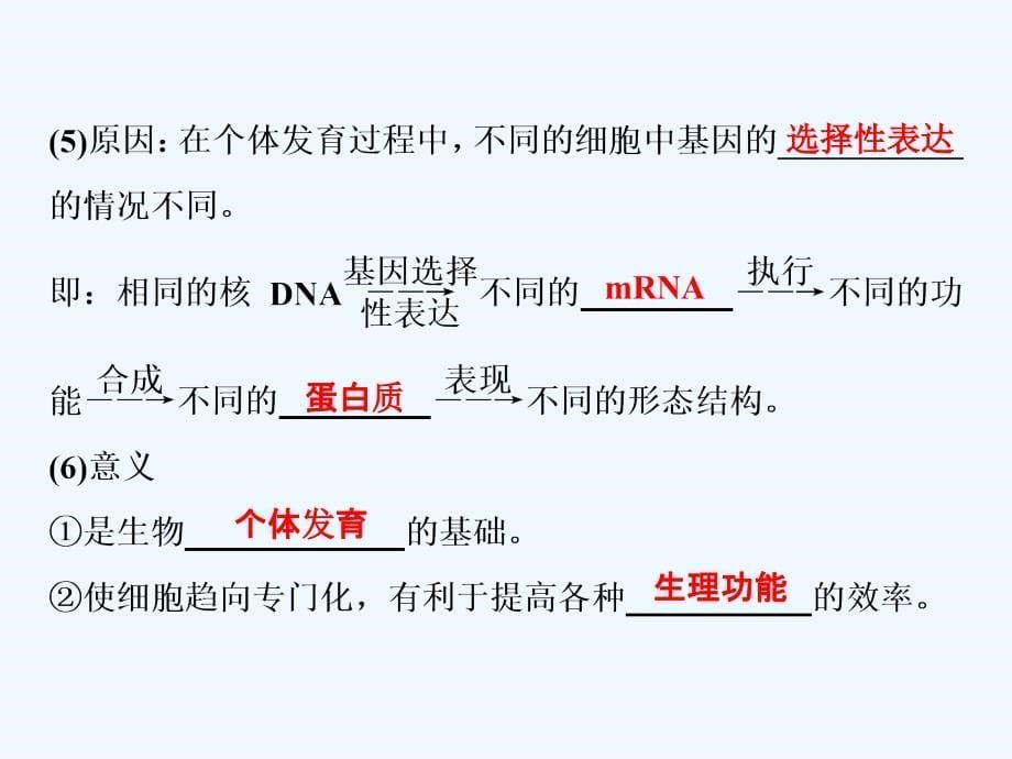 高中生物一轮复习方案课件：第4单元 4 第14讲细胞的分化、衰老、凋亡及癌变_第5页