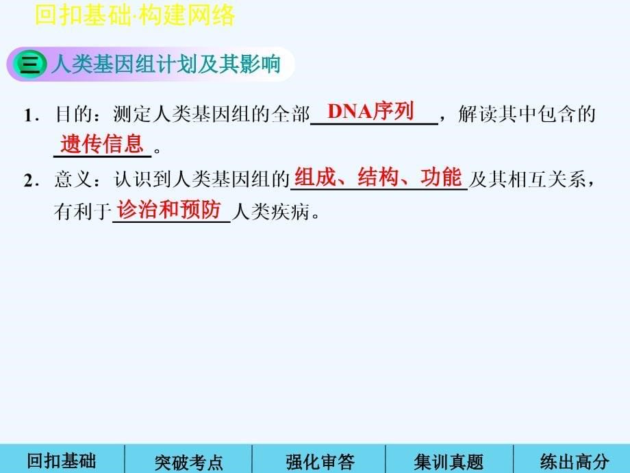 高考生物一轮复习第七单元生物变异、育种以及进化第讲人类遗传病_第5页