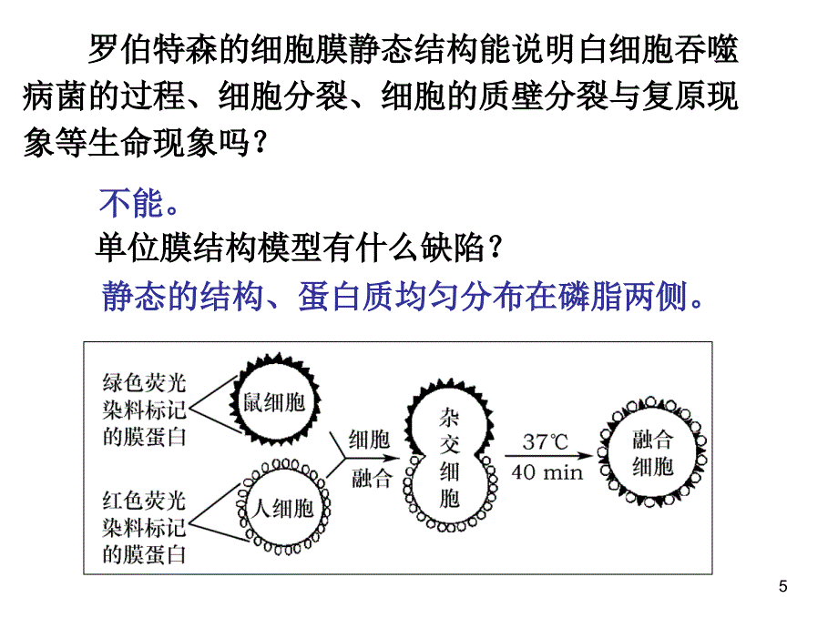 细胞的基本结构 (2)_第5页