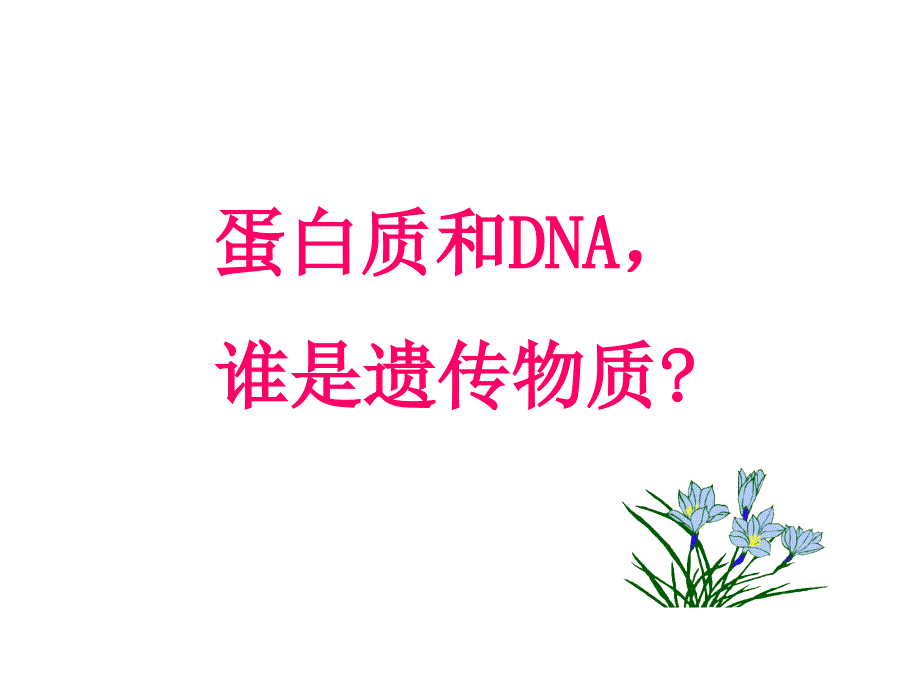 山东省高中生物第三章基因的本质3.1DNA是主要的遗传物质课件新人教版_第4页