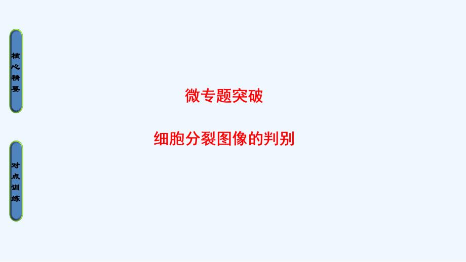 高中课堂新坐标生物人教必修二同步课件：第2章 微专题突破 细胞分裂图像的判别_第1页