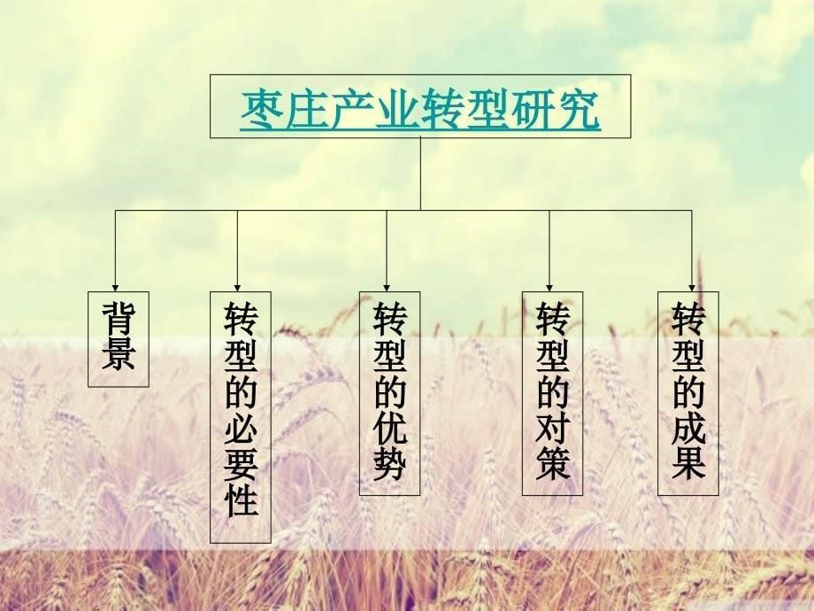 资源枯竭型城市转型——以枣庄市为例.ppt_第5页