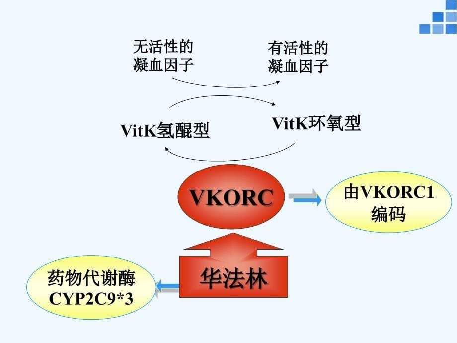 遗传医药理学例_第5页