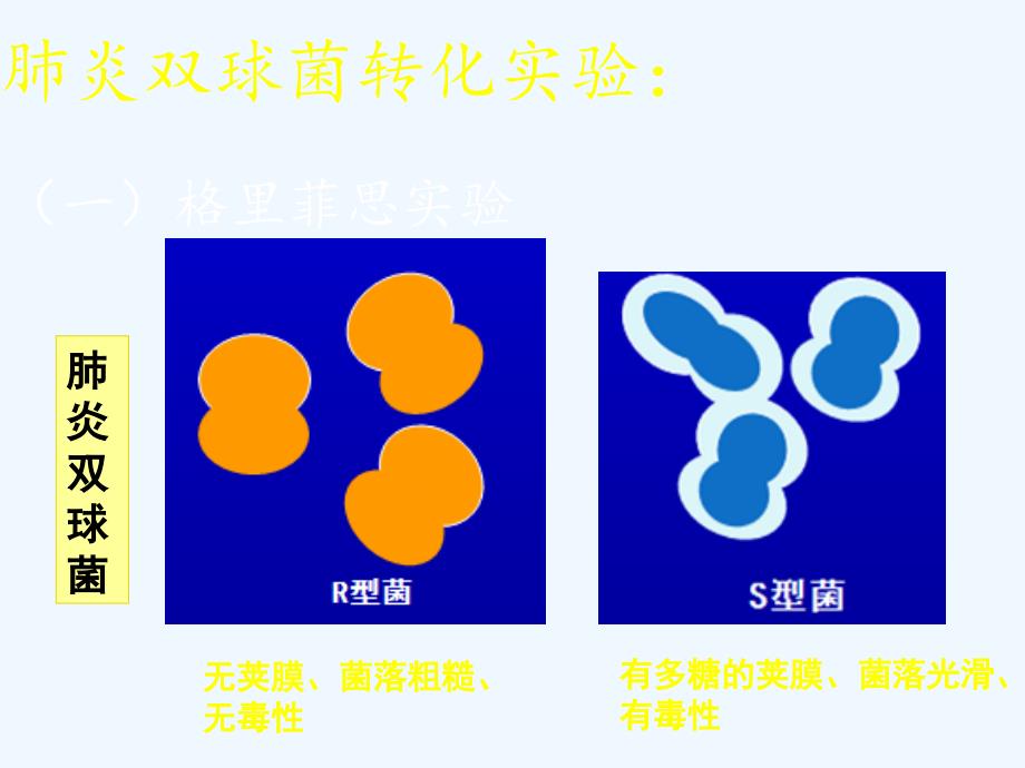 高中生物必修二：3.1DNA是主要的遗传物质2 课件_第4页