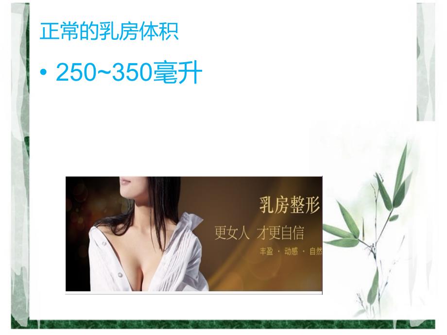 乳房的基本特征和乳房美学参数.ppt_第3页