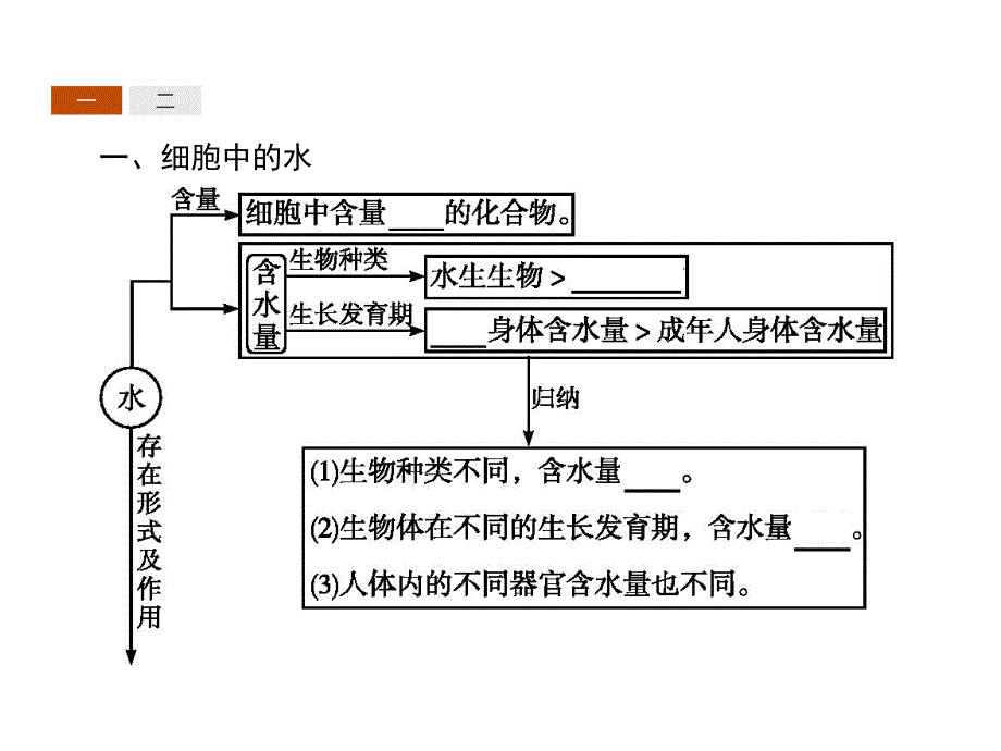 高中生物人教必修一同步课件：2.5细胞中的无机物_第3页