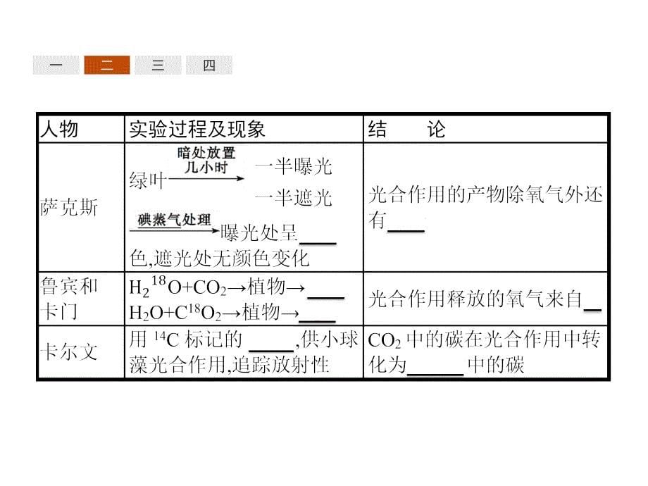 高中生物人教必修一同步课件：5.4.2光合作用的原理和应用_第5页