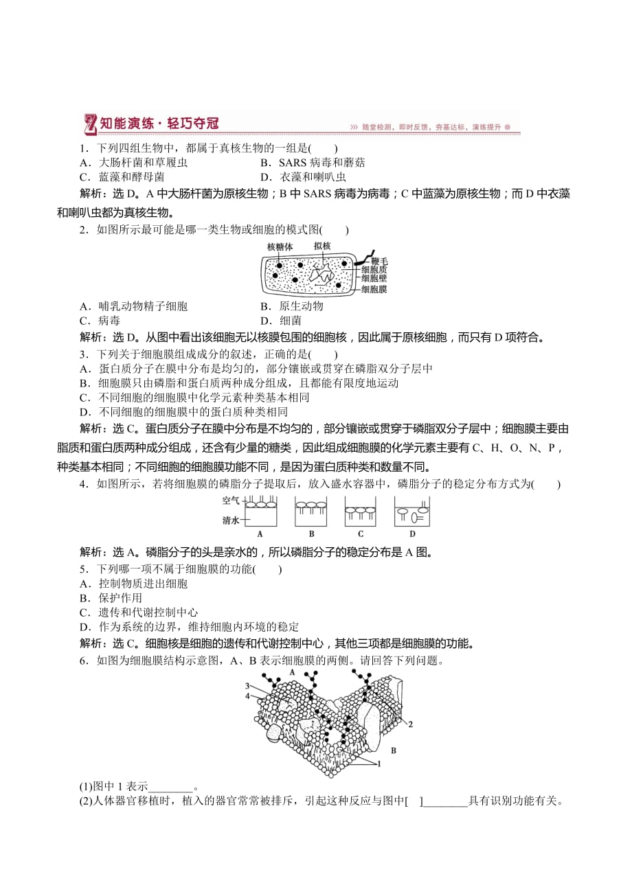 高中生物苏教版必修1：第三章第二节第1讲原核细胞和真核细胞　细胞膜和细胞壁 知能演练 Word版含解析_第1页