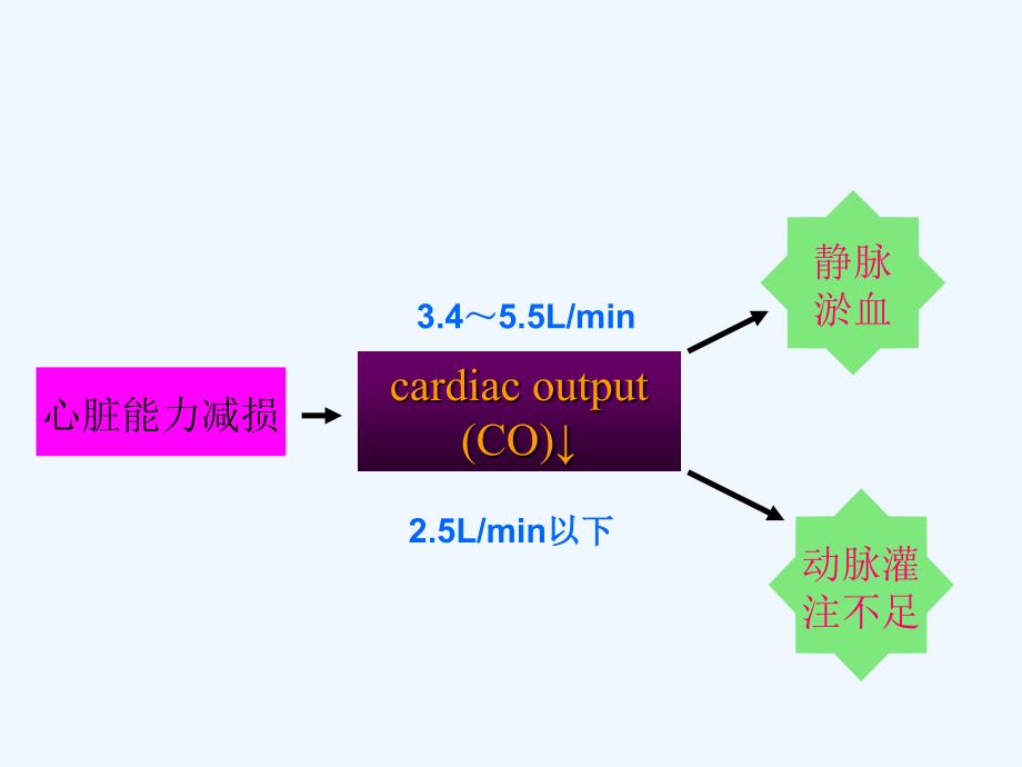 心力衰竭医药_第3页