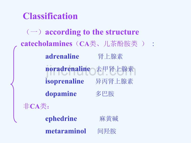 第九章肾上腺素受体激动医药_第3页