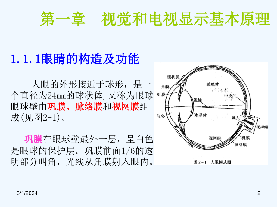 华中科技电子显示技术视觉生理学以及彩色显示原理_第2页