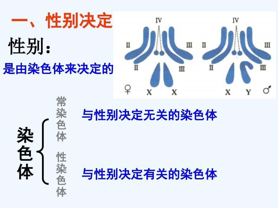 高中生物第节伴性遗传教案新人教版必修_第5页