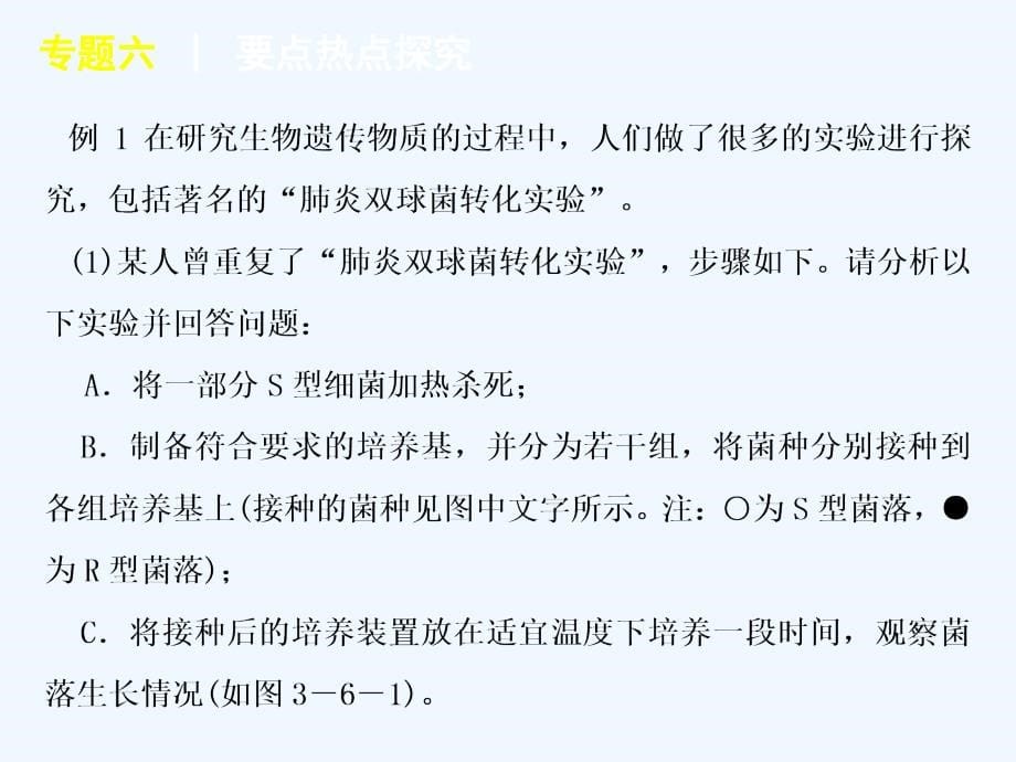 届高考新课标生物二轮复习方案教案：专题遗传的分子基础9_第5页