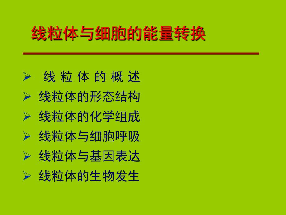 最新 线粒体与细胞的能量转换_第1页