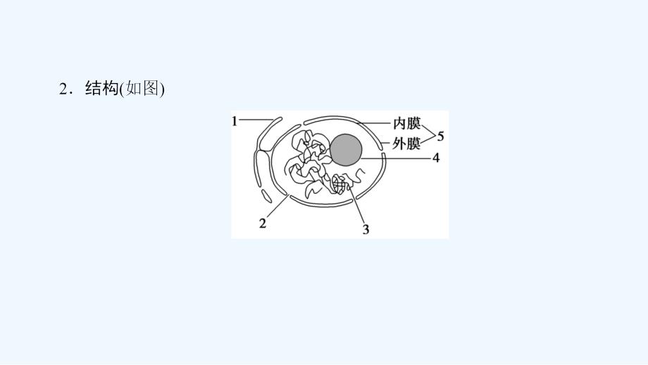 高中课堂新坐标生物人教必修一同步课件：第3章 第3节 细胞核——系统的控制中心_第4页