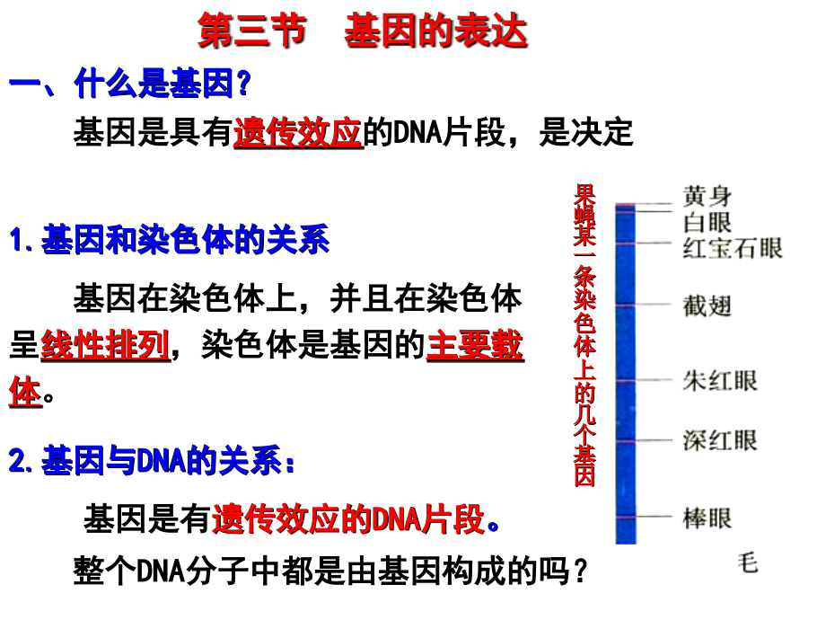 史上最强生物课件遗传信息的表达复习_第1页