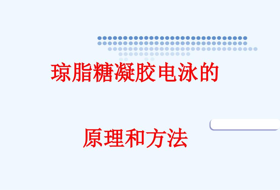 实验琼脂糖凝胶电泳的原理以及方案_第1页