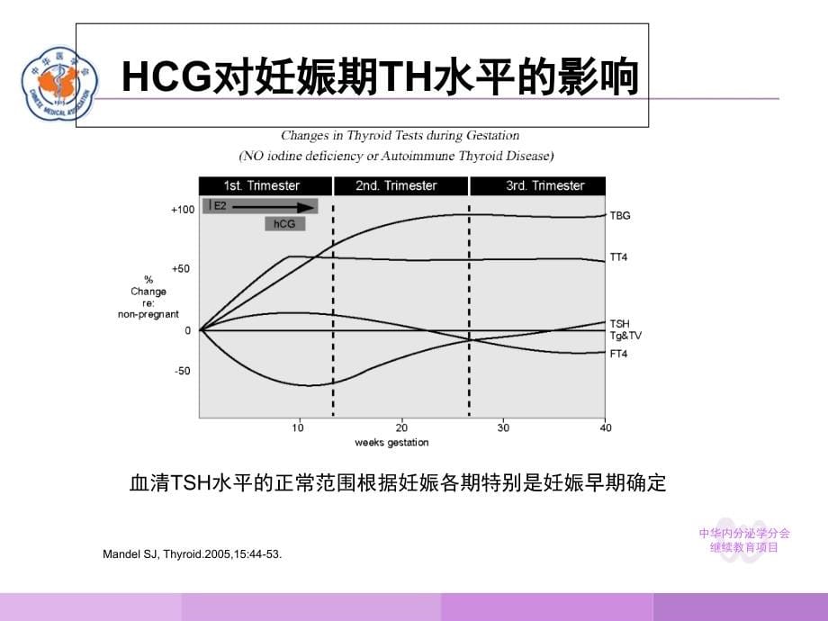 妊娠与甲状腺疾病 (3)_第5页