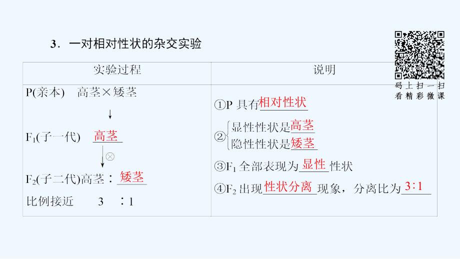 高中课堂新坐标生物人教必修二同步课件：第1章 第1节 孟德尔的豌豆杂交实验（一） （Ⅰ）_第5页