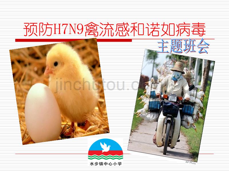 预防H7N9禽流感和诺如病毒主题班会_第1页