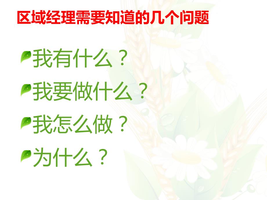 【精编】如何做个优秀的区域经理_第2页