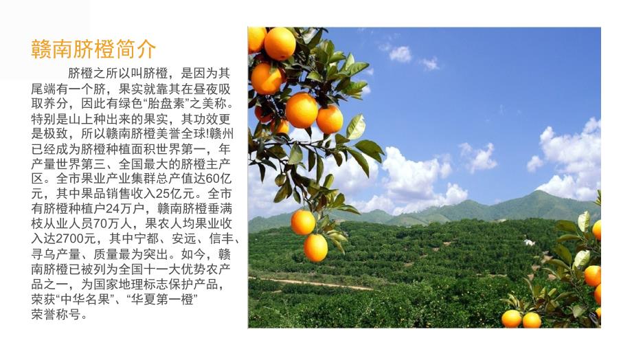 【精编】赣南脐橙市场调研报告分析_第2页