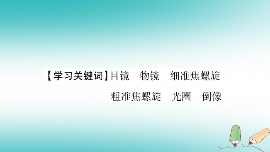 2019秋七年级生物上册 第2单元 第1章 第1节 练习使用显微镜习题课件 （新版）新人教版_第2页