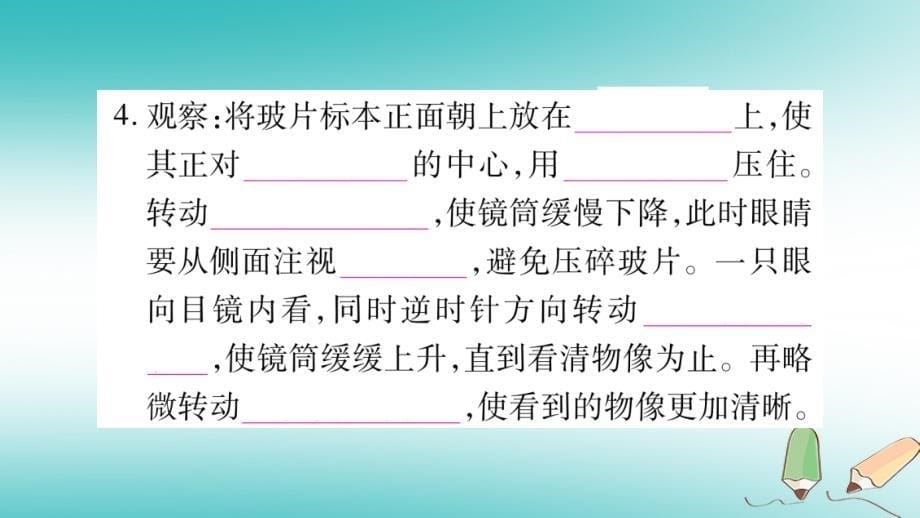 2019秋七年级生物上册 第2单元 第1章 第1节 练习使用显微镜习题课件 （新版）新人教版_第5页