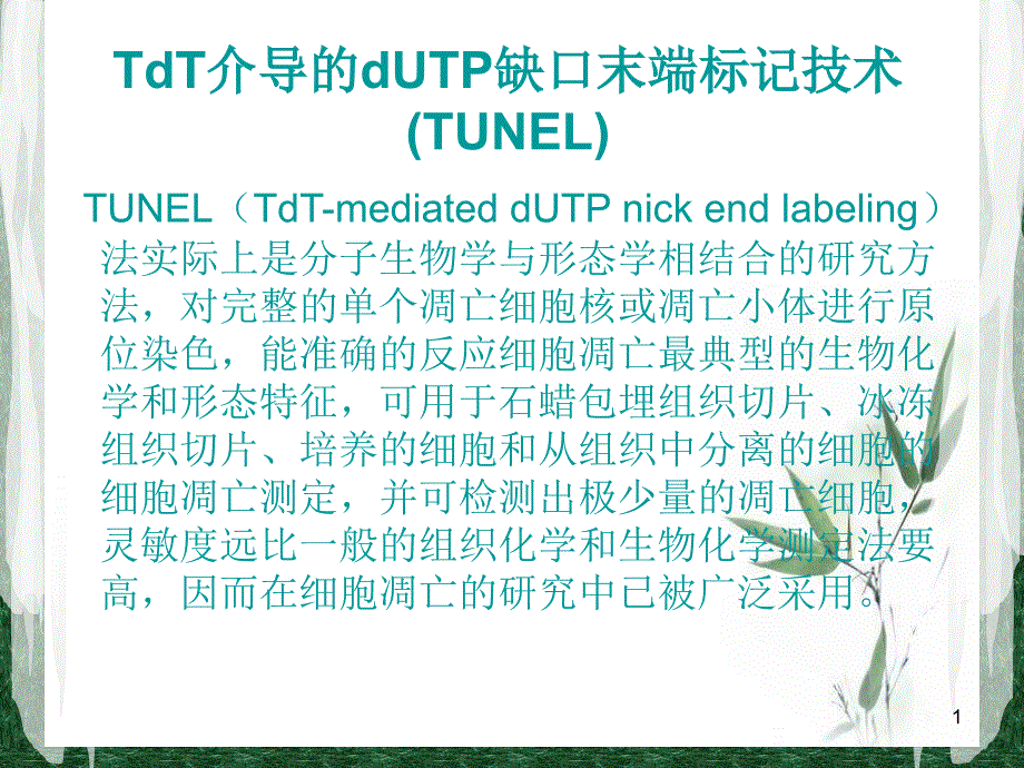 TUNEL法检测细胞凋亡实验原理和方法ppt课件.ppt_第1页