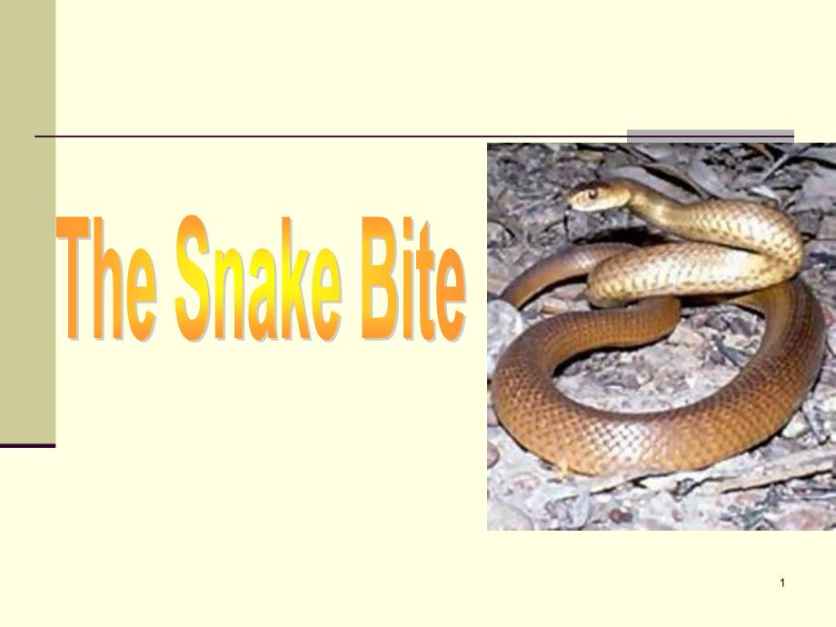 Unit 3 The Snake Bite被蛇咬综合英语教程2第三单元ppt课件.ppt_第1页