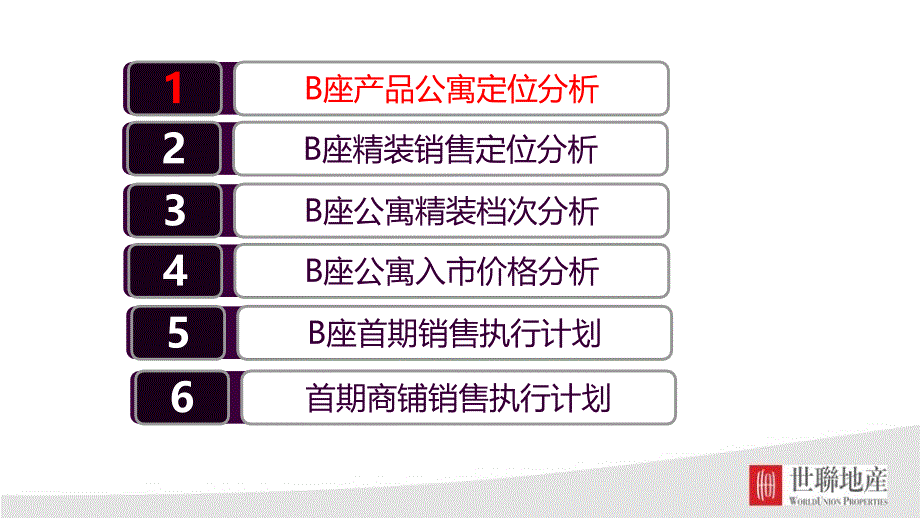 【精编】国际公馆B座公寓销售执行方案_第2页