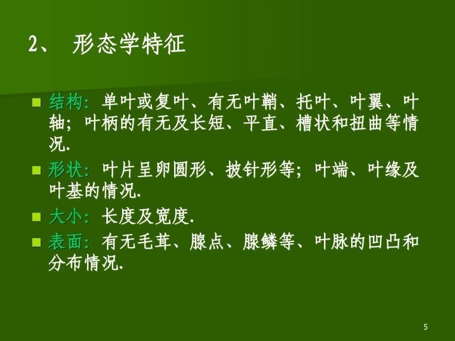 生药学叶类ppt课件.ppt_第5页