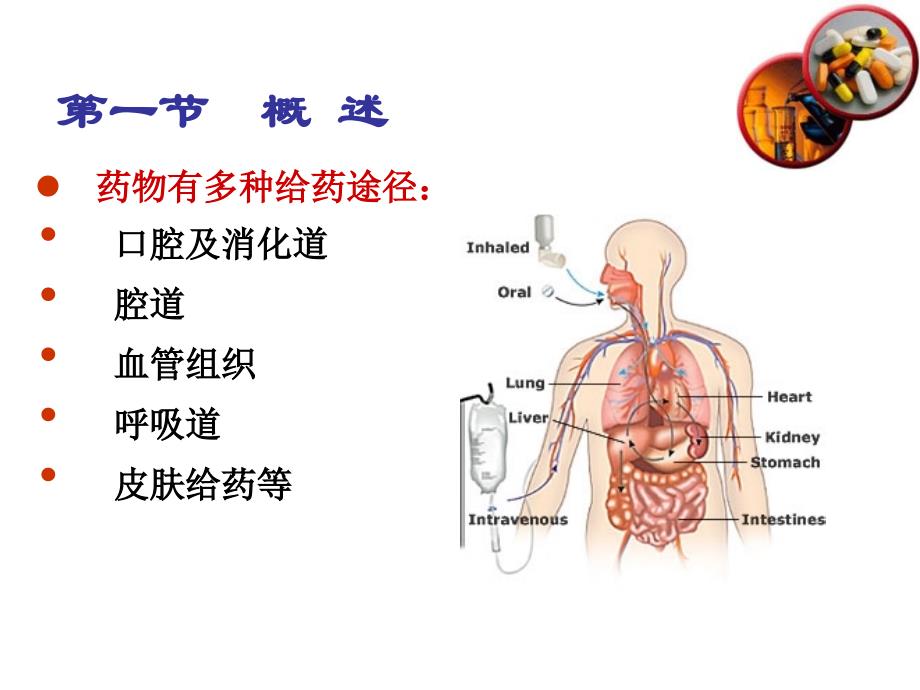 药剂学药物制剂设计ppt课件.ppt_第3页