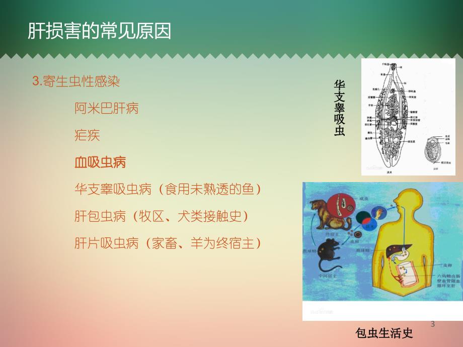 造成肝损害的少见病ppt课件.ppt_第3页