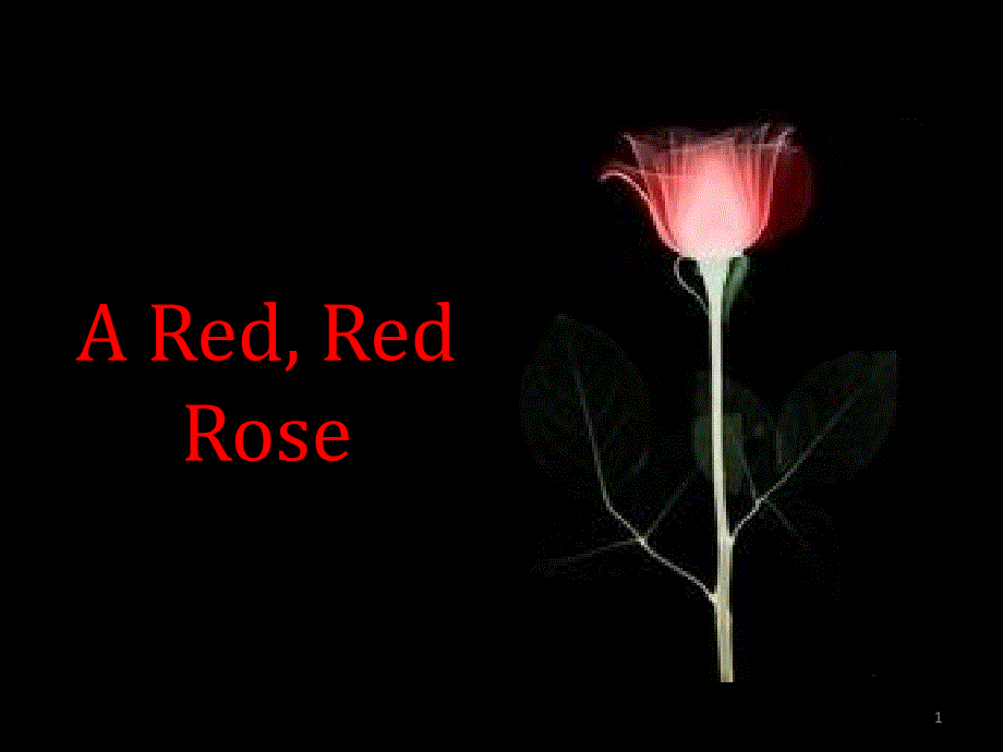 A Red Red Roseppt课件.ppt_第1页